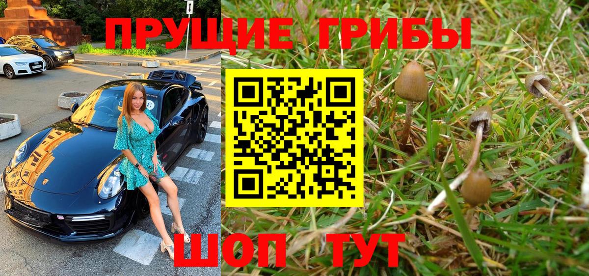 Псилоцибиновые грибы Psilocybine cubensis  Галлюциногенные грибы ЛСД  Вход с VPN  Азнакаево 